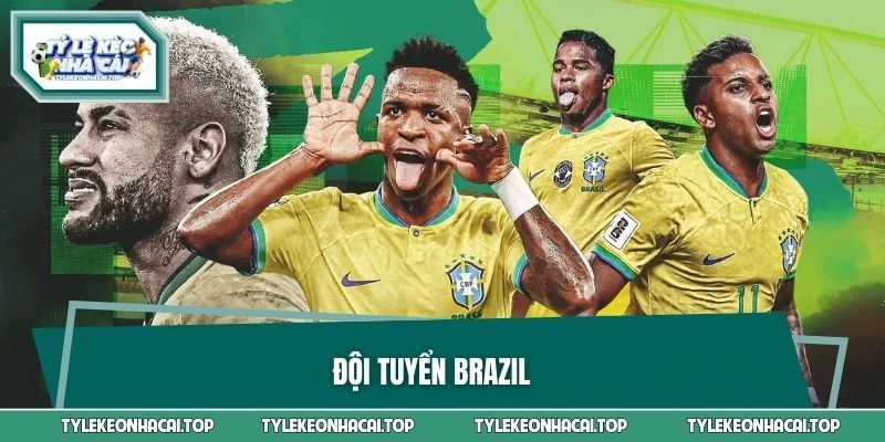 Đội Tuyển Brazil Tăng Tốc Trước Thềm World Cup 2026
