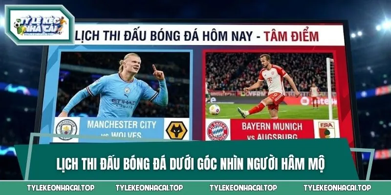 Lịch thi đấu dẫn nhịp cảm xúc cho người xem