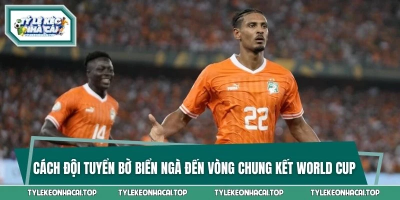 Cách của đội tuyển Bờ Biển Ngà đến vòng chung kết của World Cup 2026